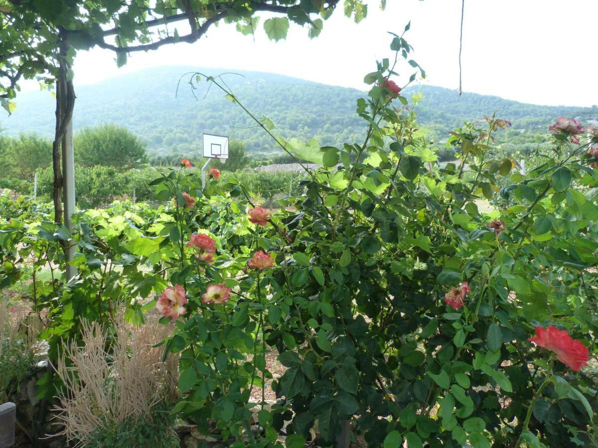 Country House Speedy Komiža Eksteriør bilde